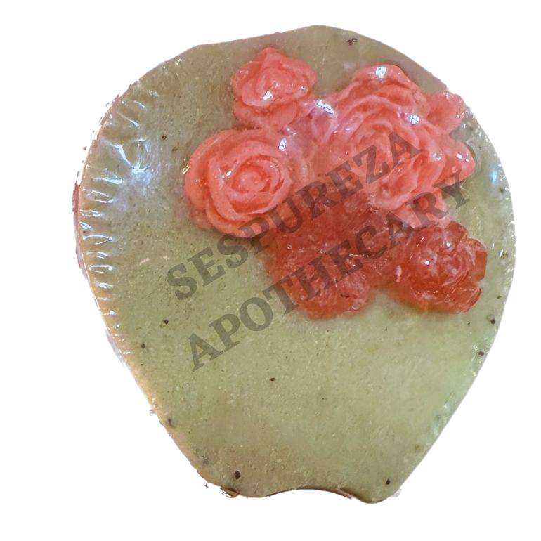"PENCA" Nopal Cactus Soap Bar