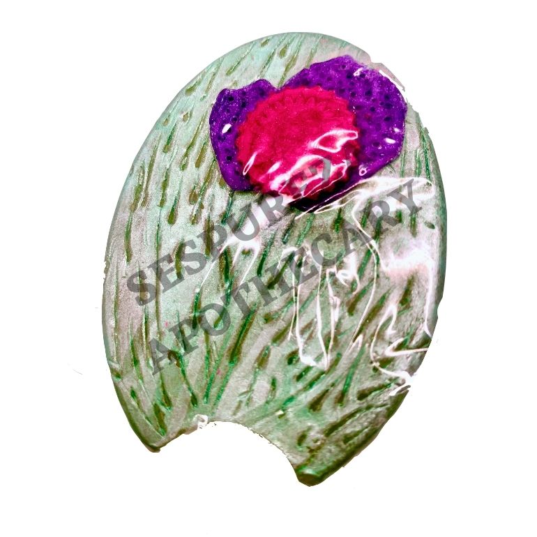 'VERA' Pure Aloe Vera Soap