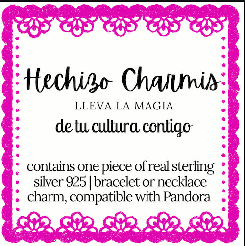 Latino Inspired Charms